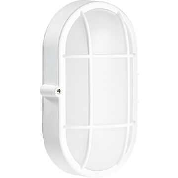 Fond oval