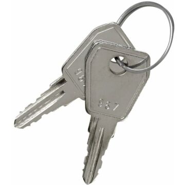 Pack de 2 llaves para placa con llave