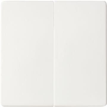 Doble interruptor 10ax emb.ráp.+ teclas