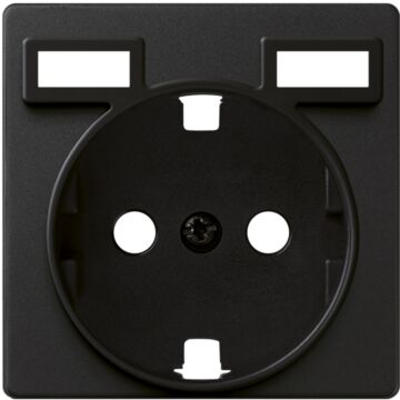 Tapa para base schuko con carg. 2xusb