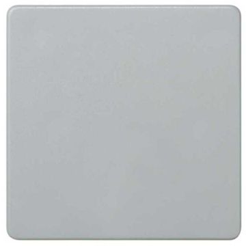 Tapa ciega