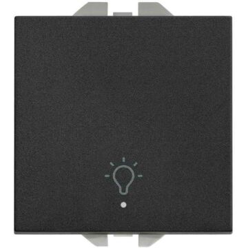 Pulsador grabado luz luminoso 10a ancho
