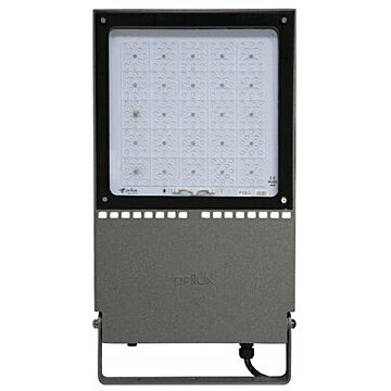 La familia nantes play, compuesta por nantes play, nantes play l y nantes play xl, está disponible con módulos led dotados con matrices de 108, 192 y 