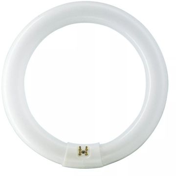 Master tl-d super 80 circular -  fluorescent lamp -  consumo de energía: 40.8 w -  clase de eficiencia energética: g