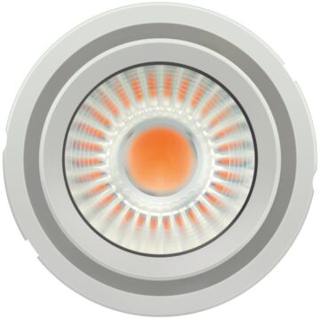 Prevaled© coin 111 cob g2 4300-830-24d-g2