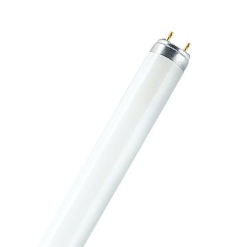 Lampara fluora l 18/77 d.26mm