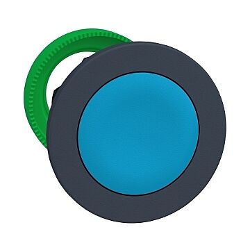 Boton flush azul cabeza