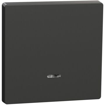 Tecla simple con visor d-life antracita