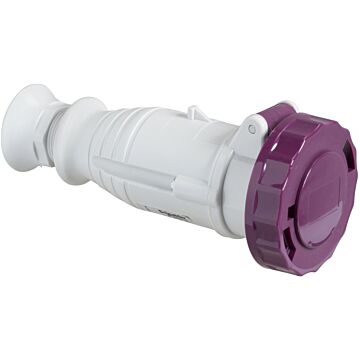 Pratika wander socket - straight - 16 a - 2p - 20...25 v ac - ip67