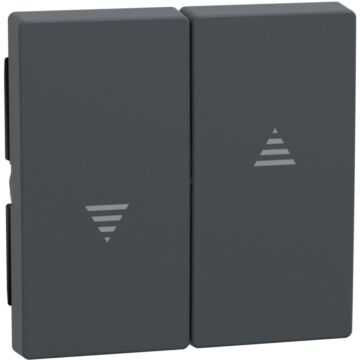Tecla para interruptor y pulsador de persianas system m, antracita