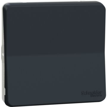 Mureva styl, mecanismo, 1 polo, 2 vías, electromecánico, 10ax, ip55, gris