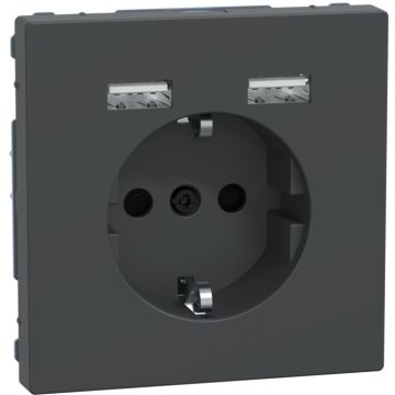 Schuko + 2 cargador usb 2,4a d-life antr
