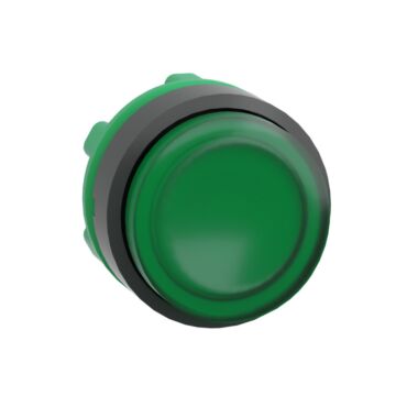 Cabeza pulsador  luminoso led saliente verde