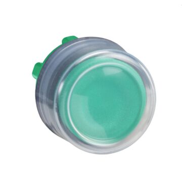 Cabeza pulsador  goma verde