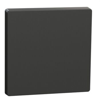 Tecla compatible con mecanismos de mando d-life, antracita