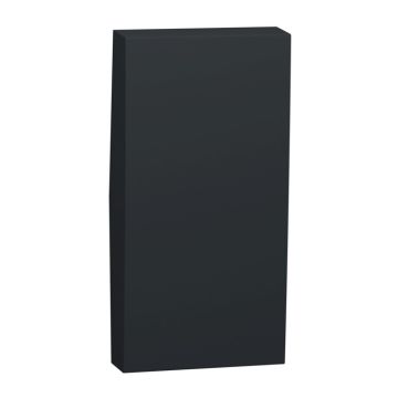 Tecla recambio serie única 1 modulo antracita