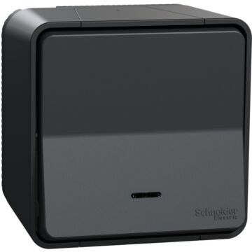 Mureva styl, producto completo, 1 polo, 2 vías, electromecánico, 10ax, led, ip55, gris