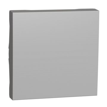 Tecla recambio serie única 2 módulos aluminio