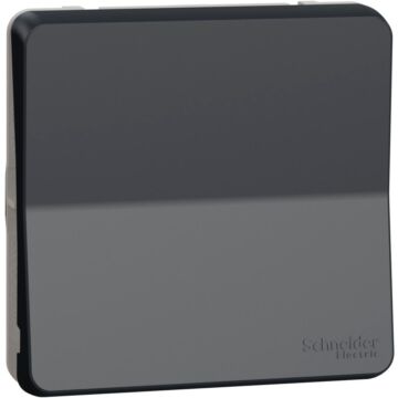 Mureva styl; mecanismo; intermedio; electromecánico; 10ax; ip55; gris