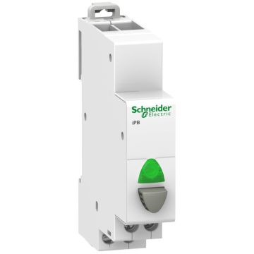 Puls ipb simple c/pil 110-220v 1na verde