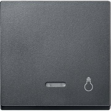 Tecla símbolo luz con visor elegance antracita
