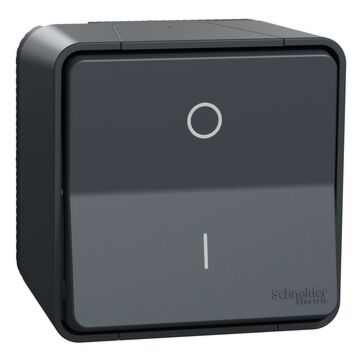 Mureva styl; producto completo; 2 polos 1 vía; electromecánico; 16ax; ip55; gris