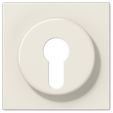 Placa interruptor llave ls blanco