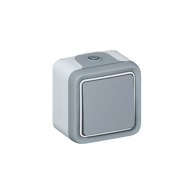 Pulsador NA Plexo monobloc de superficie gris - 10 A