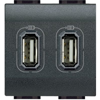 Base cargador USB (A+ A) Livinglight - 2,4A - 5V - 230V - Antracita - 2 módulos