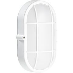 Fond oval