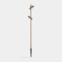 Juncus 2 heads
