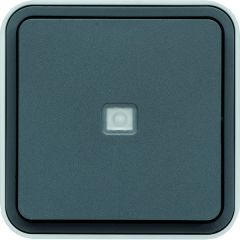 Pulsador inversor estanca con indicador luminoso superficie gris