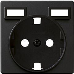 Tapa para base schuko con carg. 2xusb