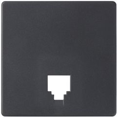 Placa para tomas telefónicas rj11 y rj12