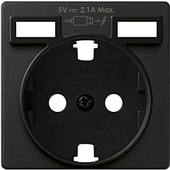 Tapa para base schuko con carg. 2xusb
