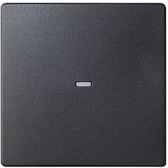 Tecla individual con visor para mecanismos s.77 grafito simon 82