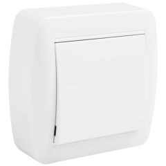 Conmutador / interruptor 10ax 250v~. de superficie.