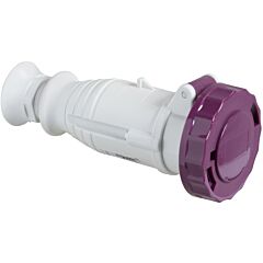 Pratika wander socket - straight - 16 a - 2p - 20...25 v ac - ip67