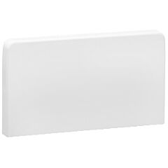 Optiline 45 canal - tapa final - 95x55 mm - pvc - blanco polar