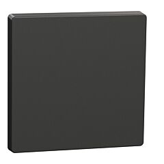 Tecla compatible con mecanismos de mando d-life, antracita