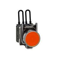 Pulsar para probar  piloto 24v naranja