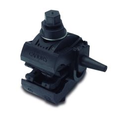 Cpa-25