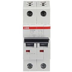 Int.aut. s202m-c10 2p 10a c 15ka