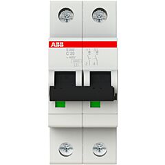 Int.aut. s202-c20 2p 20a c 10ka