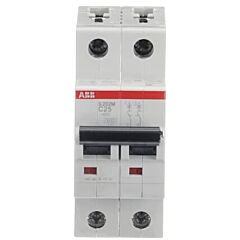 Int.aut. s202m-c25 2p 25a c 15ka