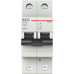 Int. mag. eh60 1p+n 10a c