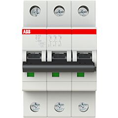 Int.aut. s203-c2 3p 2a c 10ka