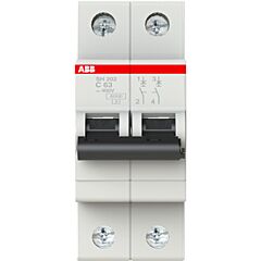 Int.aut. sh202-c63 2p 63a c 6ka