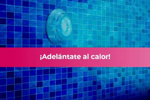 Descubre nuestra gama de productos para piscina