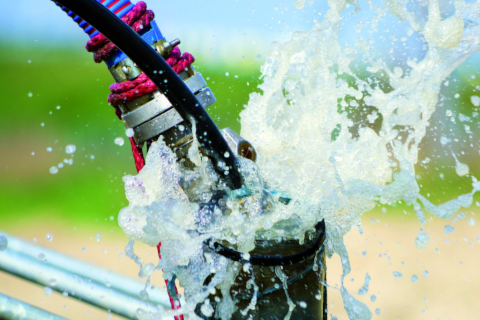 ESPA muestra las claves para elegir la bomba más eficiente para cada cultivo